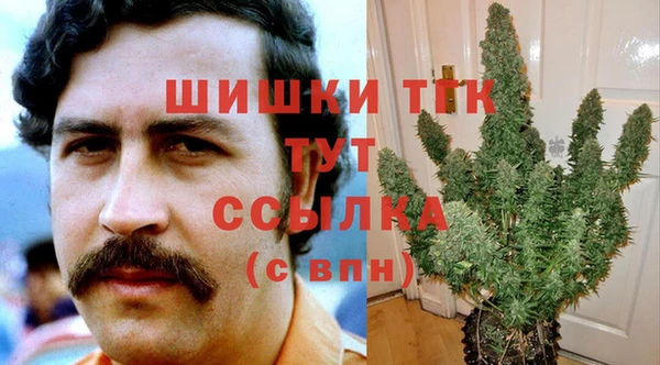 ПСИЛОЦИБИНОВЫЕ ГРИБЫ Верхний Тагил