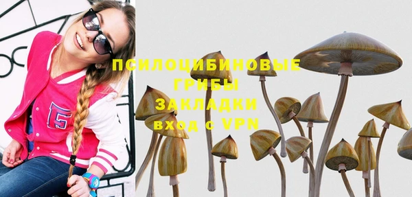 ALPHA PVP Сясьстрой